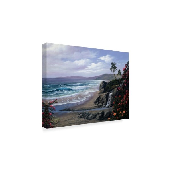 Anthony Casay 'Tropical Coast 1' Canvas Art,24x32